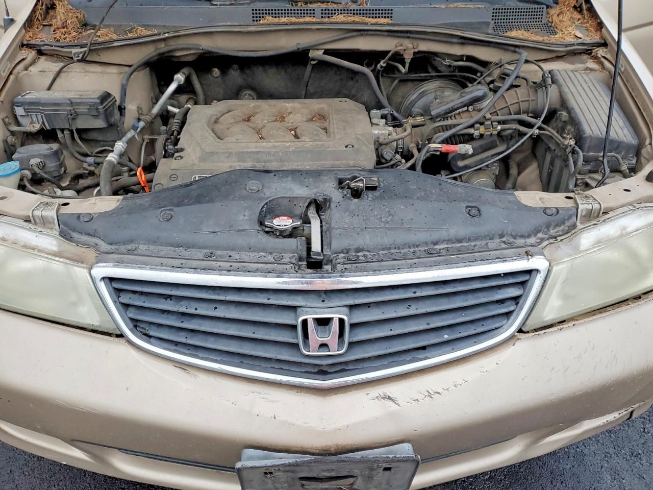 2001 Honda Odyssey ex