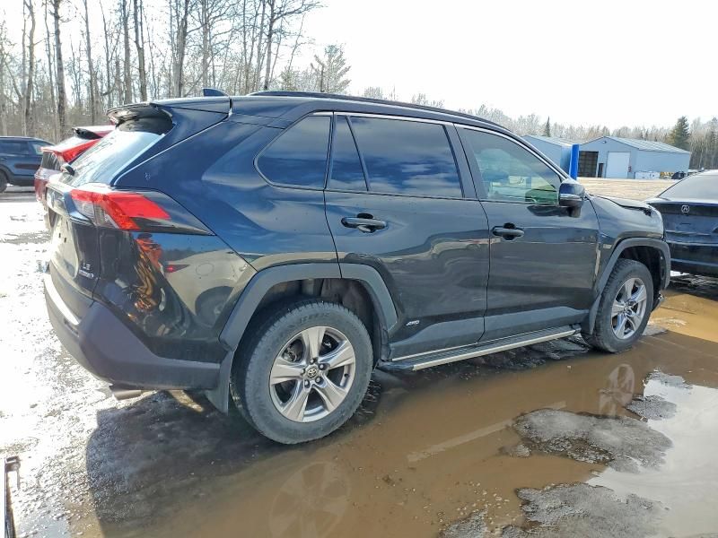 2023 Toyota Rav4 le