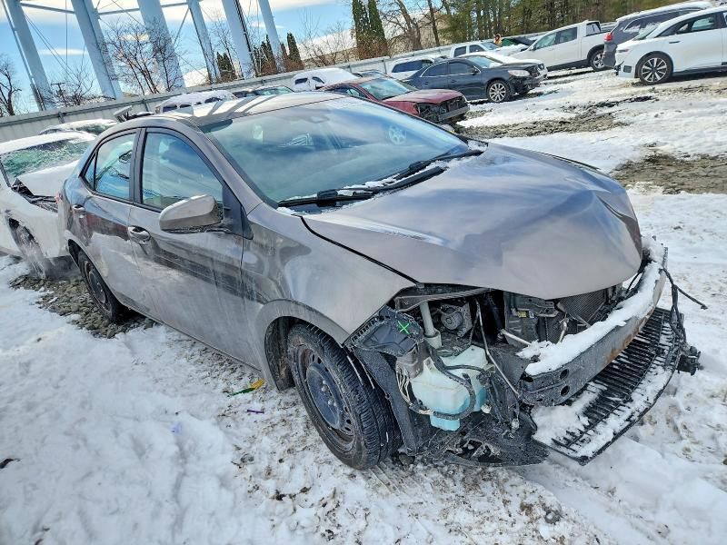 2019 Toyota Corolla l