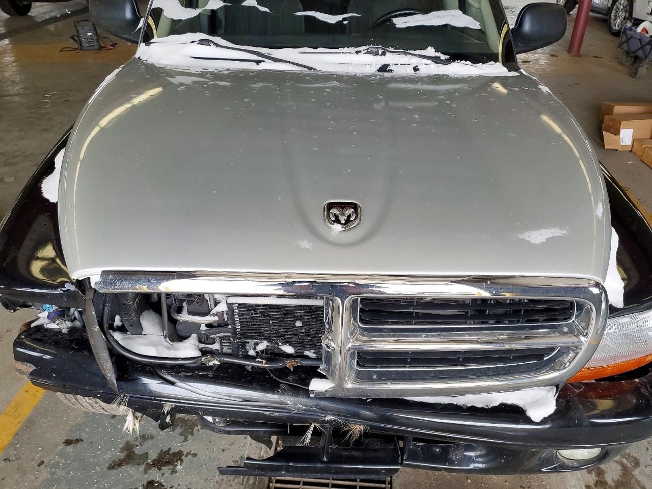 2002 Dodge Dakota Quad Sport