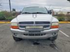 2004 Dodge Dakota Quad slt