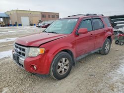 2010 Ford Escape Limited en venta en Kansas City, KS