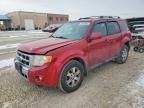 2010 Ford Escape Limited