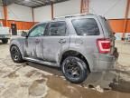 2010 Ford Escape Limited