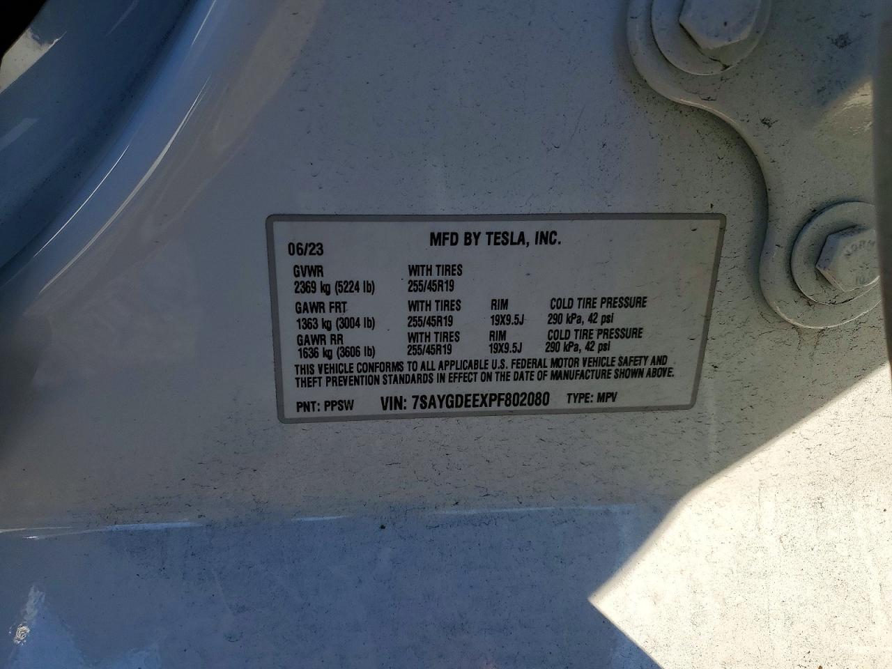 2023 Tesla Model y
