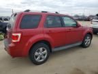 2010 Ford Escape Limited