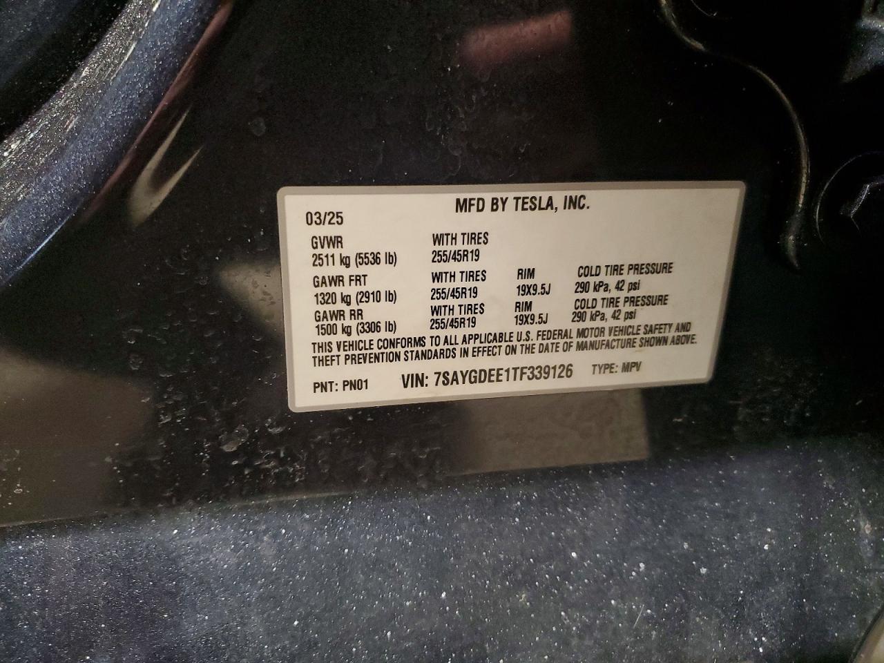 2026 Tesla Model y