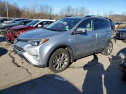 2017 Toyota Rav4 hv Limited for sale in Marlboro, NY