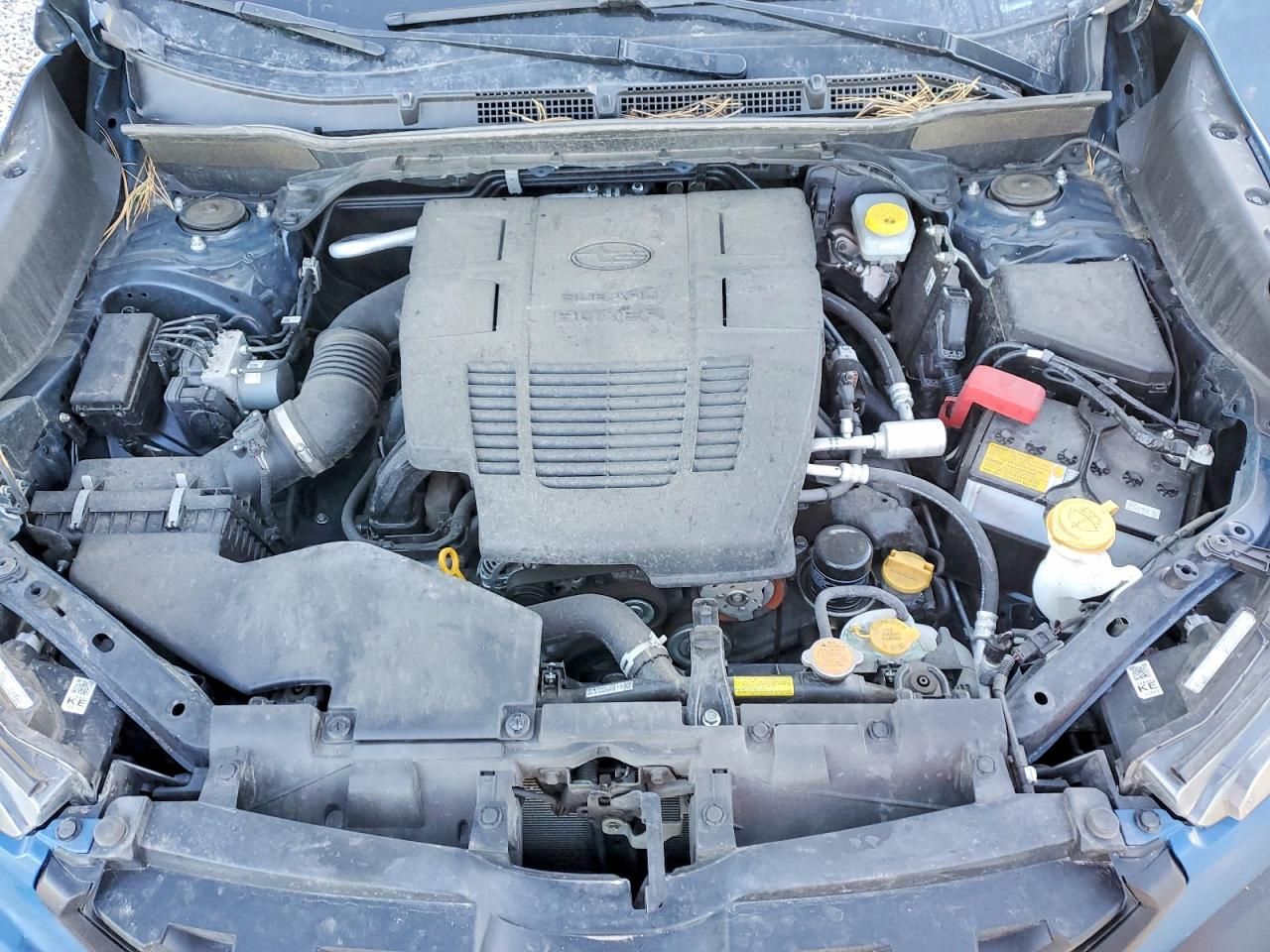 2023 Subaru Forester Wilderness