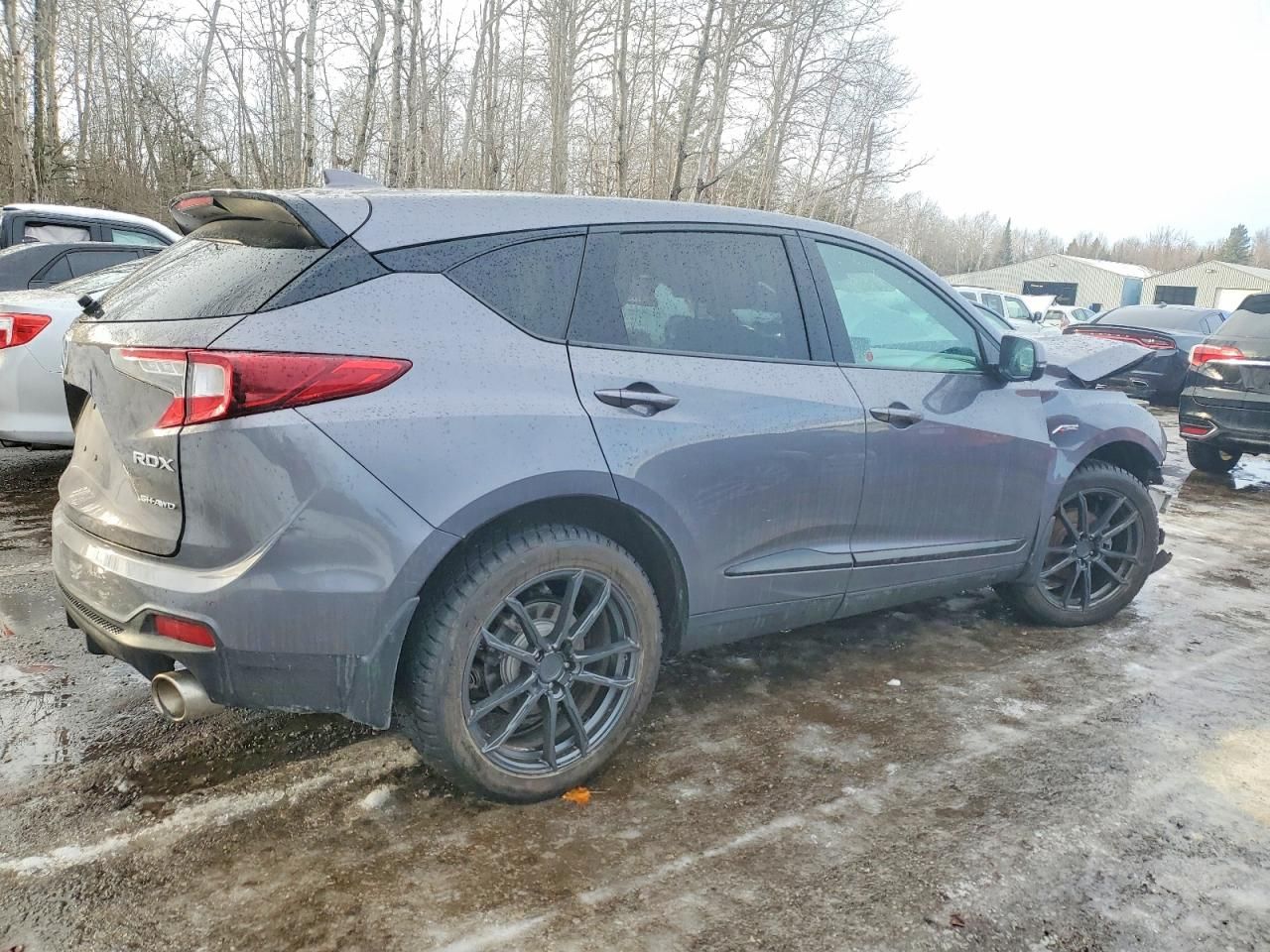 2019 Acura Rdx A-spec