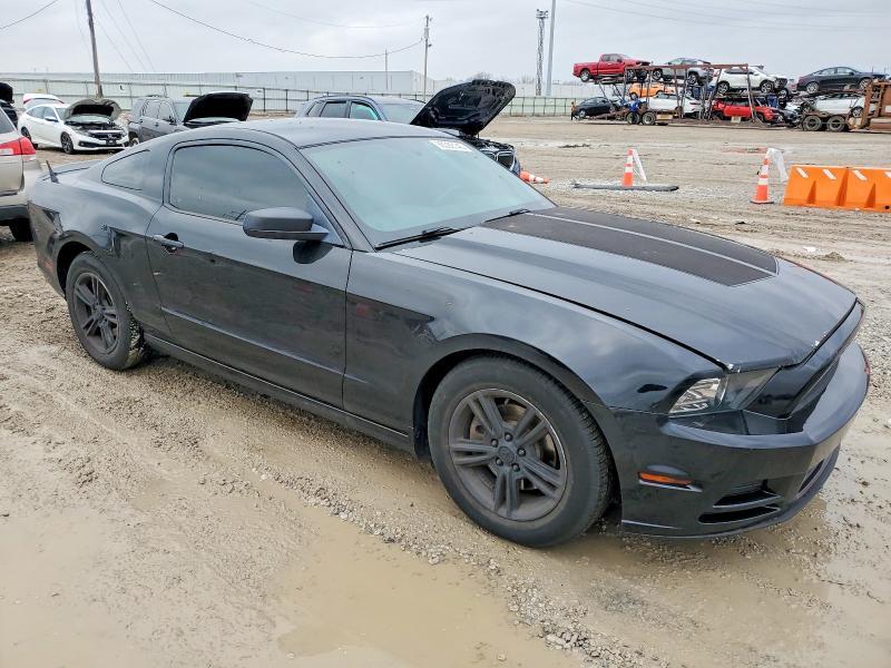 2013 Ford Mustang