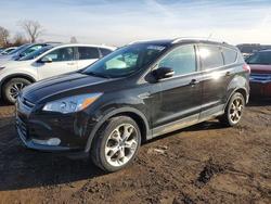 Ford salvage cars for sale: 2014 Ford Escape Titanium