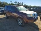 2011 Honda Pilot exl