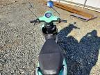 2024 Genuine Scooter Co. Buddy 50