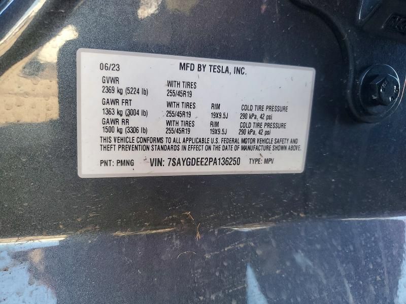 2023 Tesla Model y