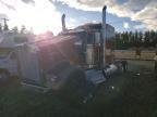 2023 Kenworth W900 Semi Truck