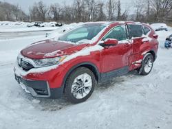 Honda salvage cars for sale: 2022 Honda Cr-v exl