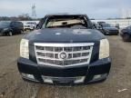 2010 Cadillac Escalade Platinum