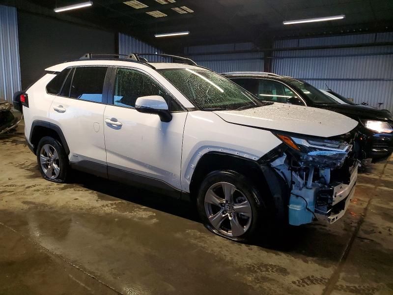 2025 Toyota Rav4 xle