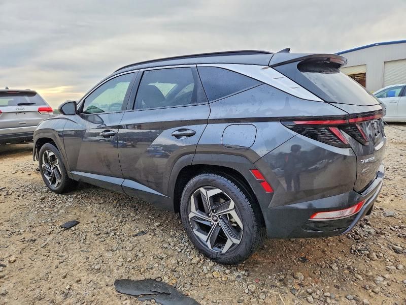 2023 Hyundai Tucson sel