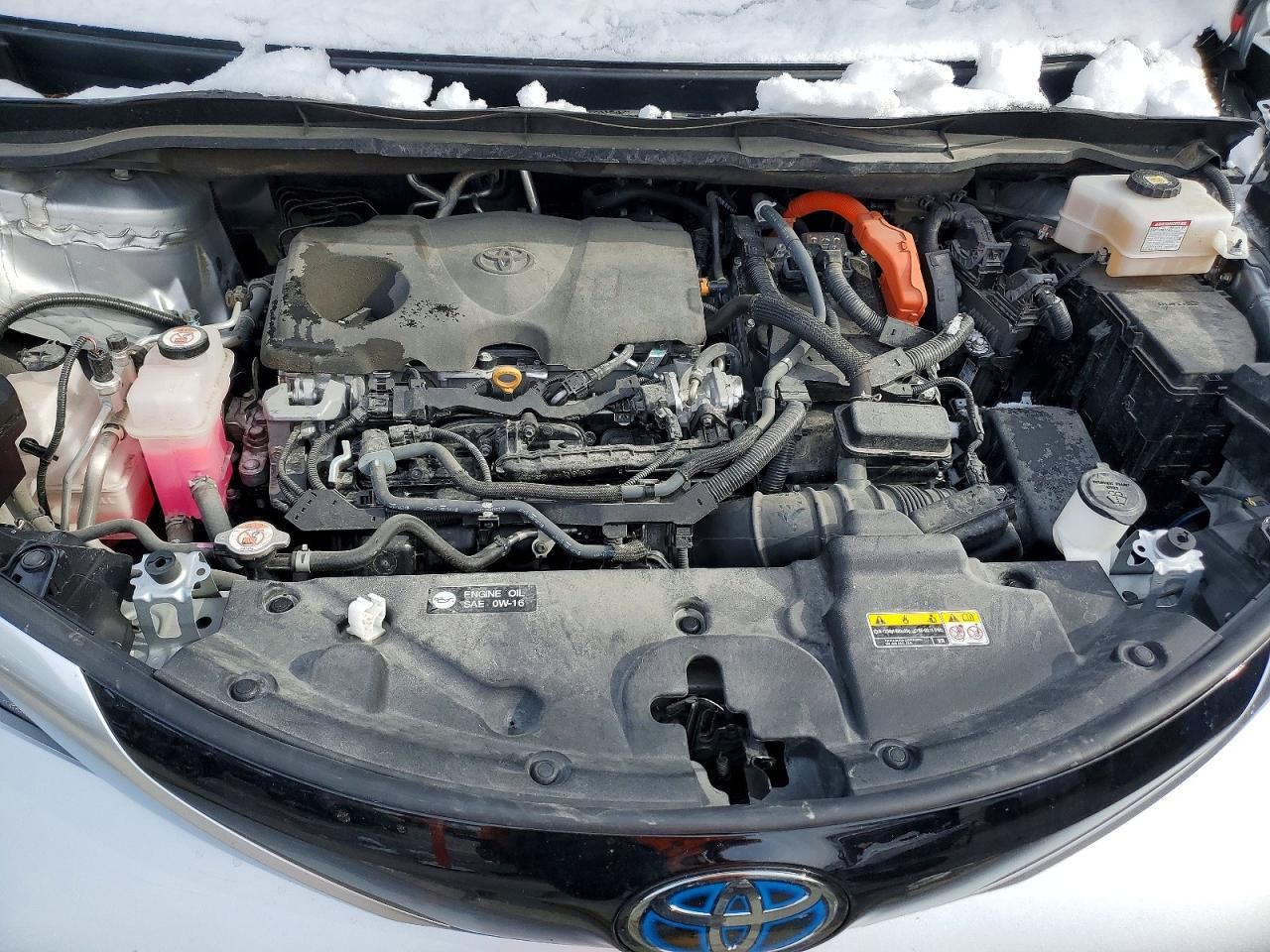 2023 Toyota Sienna xse