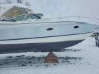 2008 Formula Boat