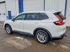 2023 Honda Cr-v exl