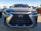 2025 Lexus Nx 350h Base