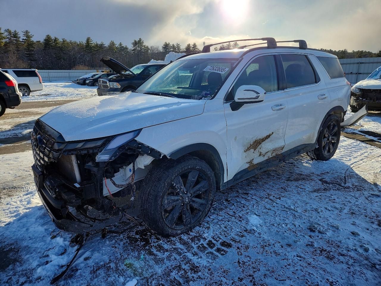 2024 Hyundai Palisade xrt