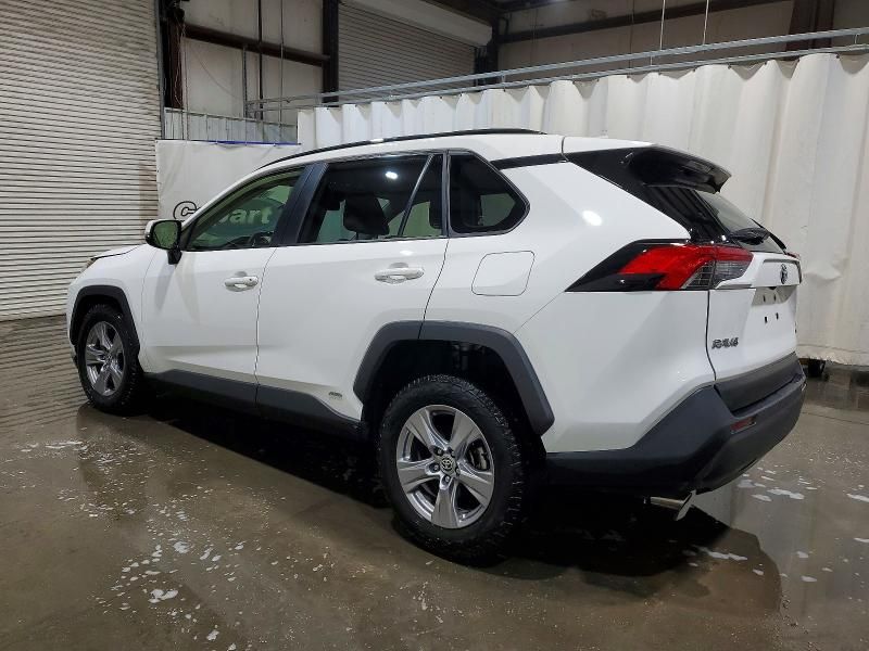 2023 Toyota Rav4 le