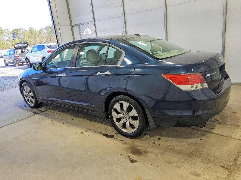 2010 Honda Accord exl