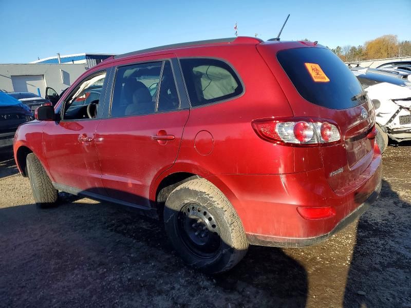 2010 Hyundai Santa fe gls