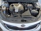 2014 KIA Optima sx
