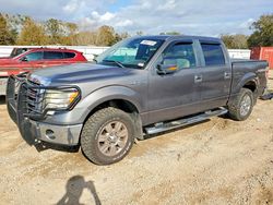 Salvage cars for sale from Copart Theodore, AL: 2009 Ford F150 Supercrew