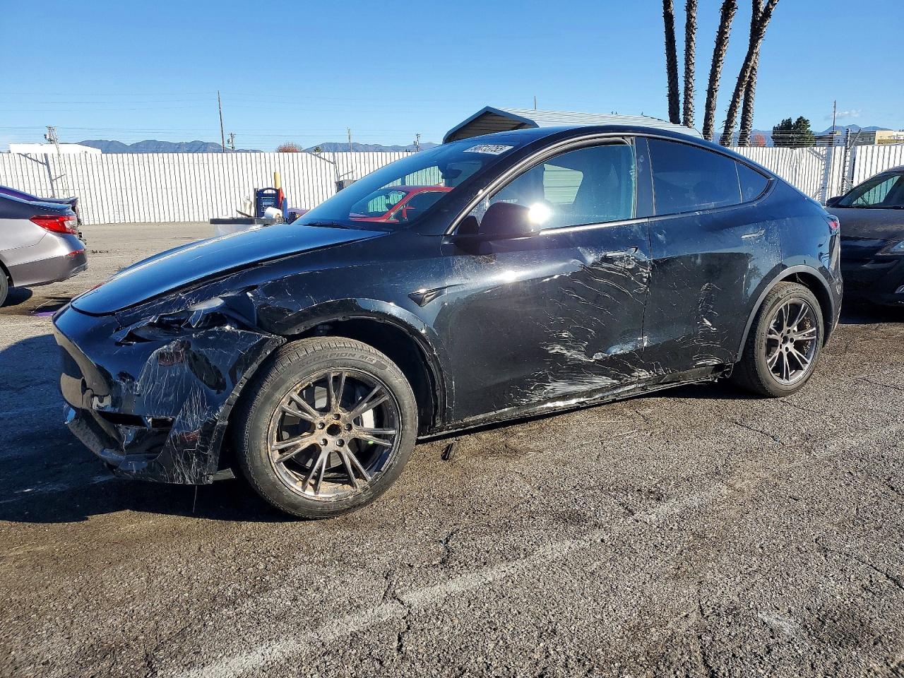 2025 Tesla Model y