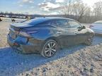 2019 Nissan Maxima 3.5 sv