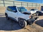 2017 Jeep Renegade Trailhawk