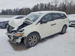 Honda Odyssey salvage cars for sale: 2016 Honda Odyssey se