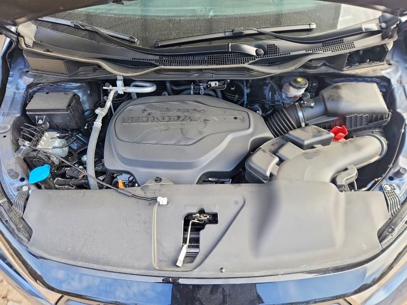 2025 Honda Odyssey exl