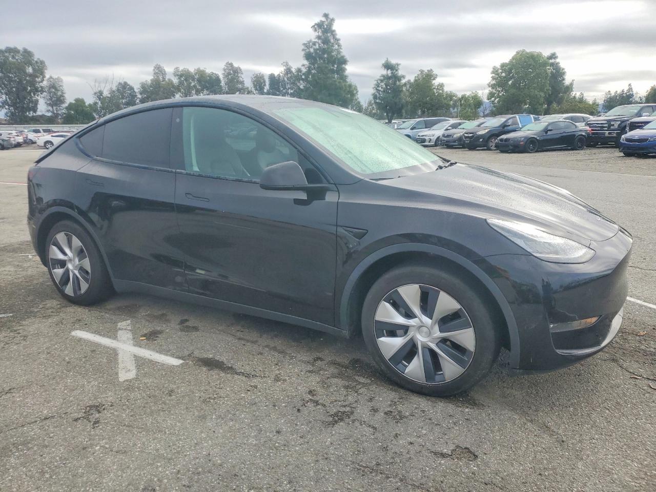 2020 Tesla Model y