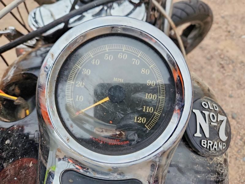 2004 Harley-Davidson Fxstd