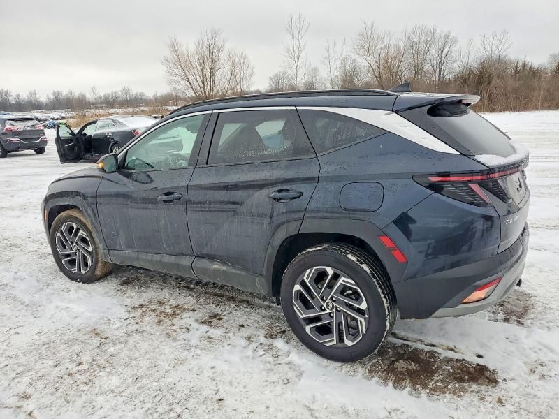 2025 Hyundai Tucson Limited