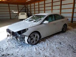 Hyundai salvage cars for sale: 2019 Hyundai Sonata Limited