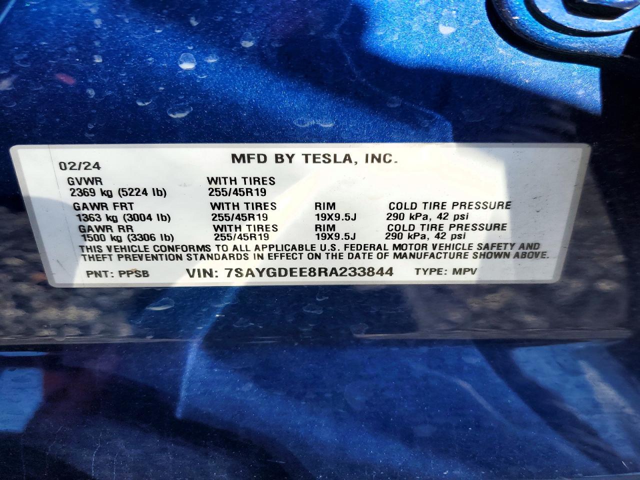 2024 Tesla Model y