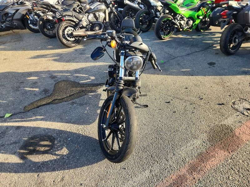 2019 Harley-Davidson Xl883 n