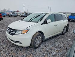 Honda Odyssey exl salvage cars for sale: 2016 Honda Odyssey exl