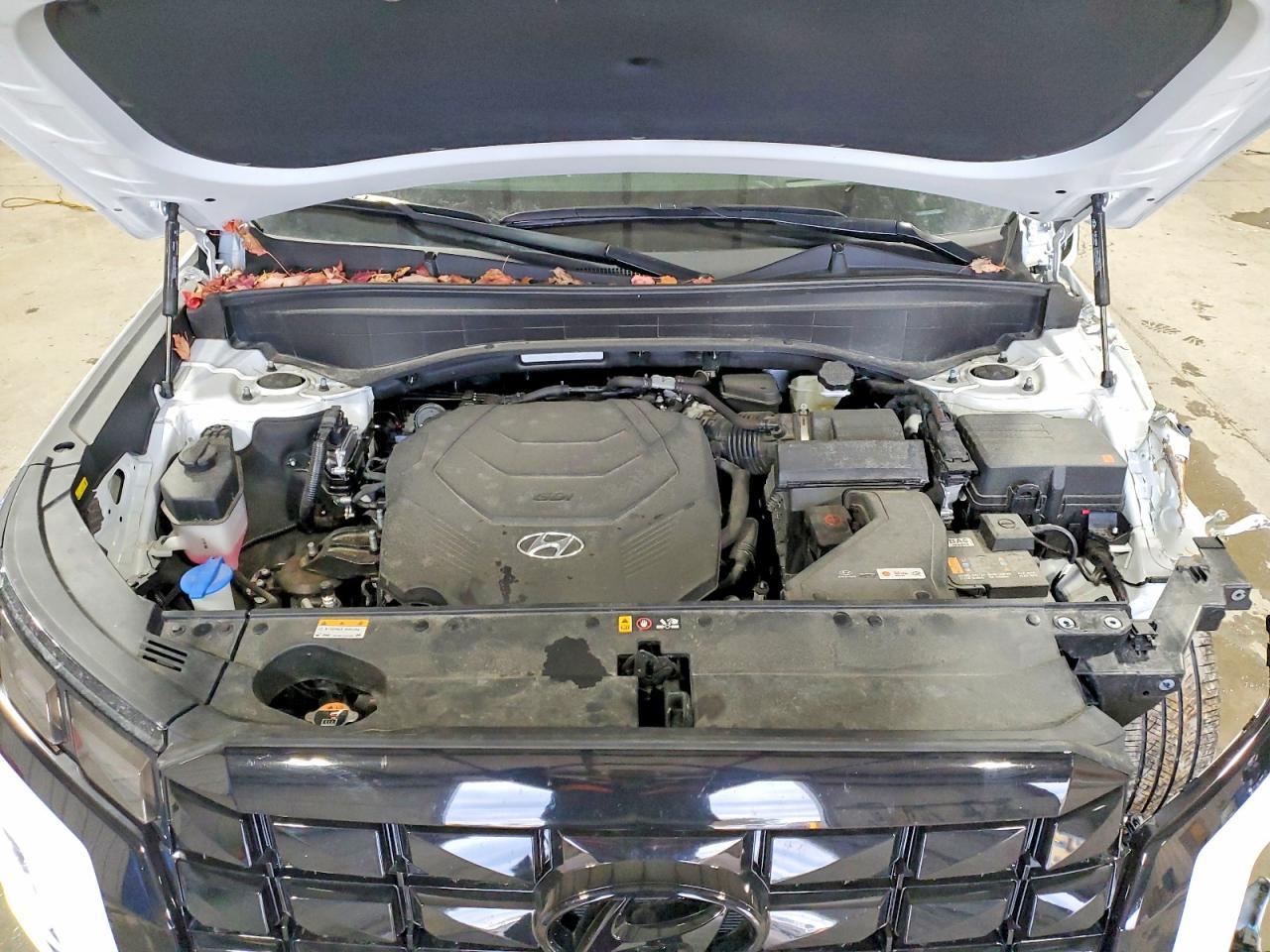 2025 Hyundai Palisade Calligraphy
