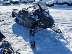 Skidoo Vehiculos salvage en venta: 2024 Skidoo 2024 Skidoo Renegade