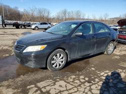 Salvage cars for sale from Copart Marlboro, NY: 2011 Toyota Camry Base