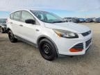 2013 Ford Escape s
